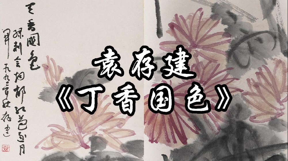 《丁香国色》